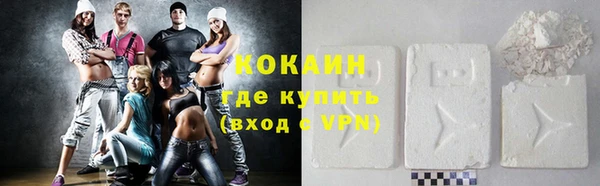 индика Алексеевка
